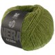 Lana Grossa NEBBIA (Nera) | 10-manzana verde