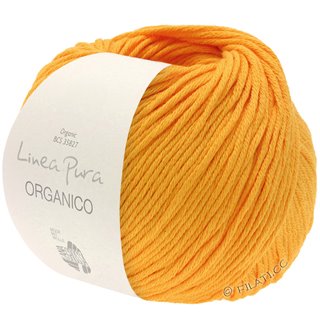 Lana Grossa ORGANICO (Linea Pura)