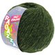 Lana Grossa PIU COLORI (Ragazza) | 02-verde oscuro mezcla