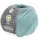 Lana Grossa RISERVA (GOTS) | 06-menta