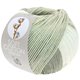 Lana Grossa SOFT COTTON Dégradé | 114-blanco/gris plata/gris claro/gris