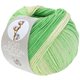 Lana Grossa SOFT COTTON Dégradé | 118-color crudo/verde delicado/jade
