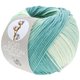 Lana Grossa SOFT COTTON Dégradé | 119-color crudo/blanco-turquesa/verde menta