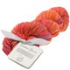 Lana Grossa UNICO (Linea Pura) | 10-burdeos/rojo cobre/anaranjado oscuro