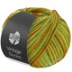 Lana Grossa VINTAGE SOCKS Multi | 1054-verde primavera/jade/mostaza/oliva/ocre